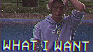 O. Gavurl - What I Want