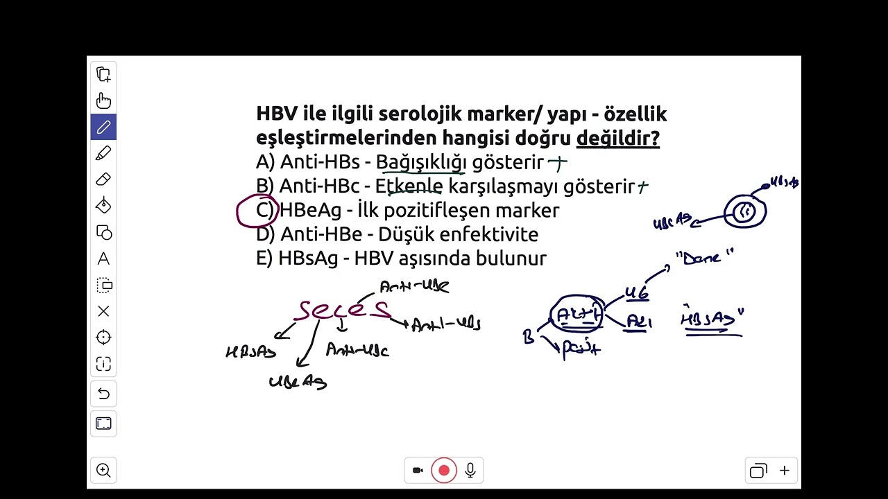 HBV MARKERLARI BİR SORU ÜZERİNDEN ÖZET