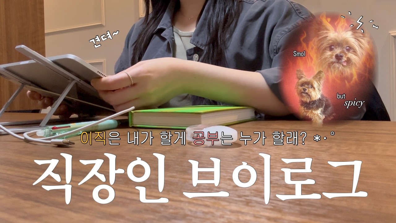 𝙑𝙇𝙊𝙂. 직장인 브이로그 | 이직은 내가 할게 공부는 누가 할래? 🥺| 출근-공부-요가하는 3박자 루틴 일상🔥 | 2월에 필기 시험만 두 번친 썰ㅋ.. | 출근룩.. 소개(?)