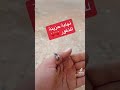 ذكور النحل ذكور النحل
