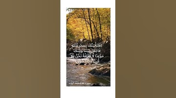 محمد أيوب |سورة طه|ولقد أريناه آياتنا كلها فكذب وأبى