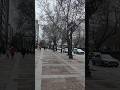 Windy walk in winter to spring