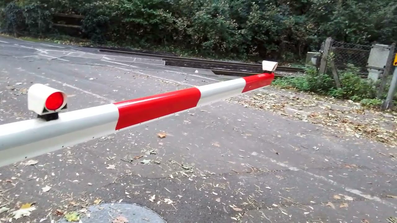*100 SUBSCRIBERS SPECIAL* Greenland Mill Level Crossing - Wiltshire (05/10/25)