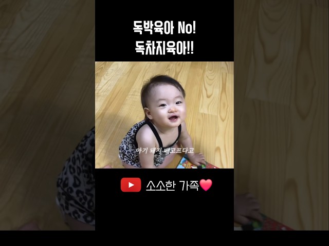 신나는 육아 독차지!! 남표니는 40시간 근무 갔소호 #9개월아기