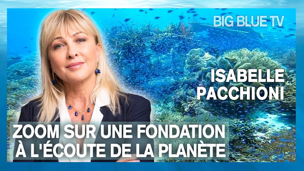 Au coeur de la planète - Zoom sur une Fondation à l'écoute du monde - Big Blue TV