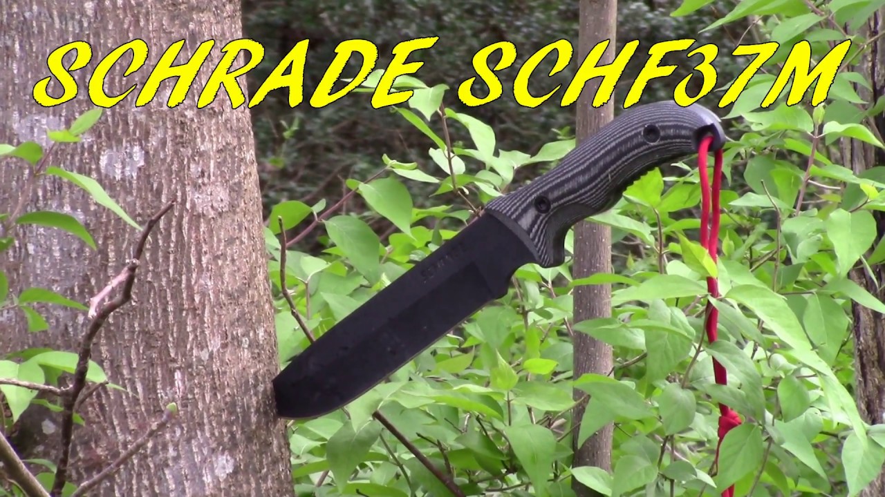Best Budget Survival Knife YouTube