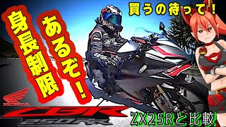 【CBR250RR】凄いがフレーム弱く振動が…更に絶望的制限が【HONDA(ホンダ)バイク通称ニダボ】