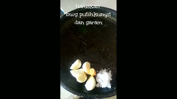 Ikan patin bakar