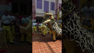 Download Lagu Lion Dance - 新加坡鶴山會館武術醒獅團  Singapore Hok San Association - Chinatown Dragon Boat Festival MP3