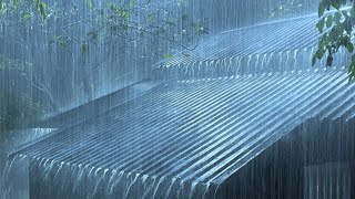 The sound of rain for sleep relaxing | Deep sleep with nature rain sound | Calm rain sound for sleep