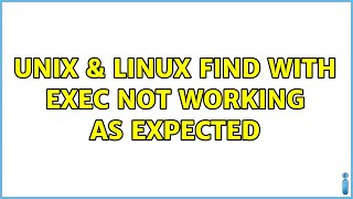 Unix & Linux: Find with exec not working as expected (3 Solutions!!)