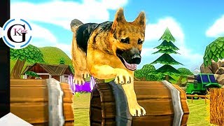 Farm Animal: Best Racing Simulator Gameplay 3D screenshot 5