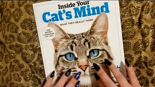 😺 Inside Your Cat's Mind Magazine|Flip-Through| ASMR screenshot 3
