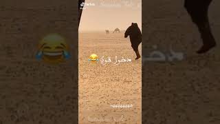 ترقص في البر😂