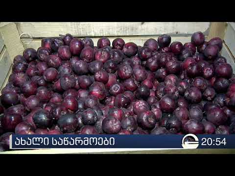 ერთიანი აგროპროექტის ფარგლებში ბოლო სამი წლის განმავლობაში 11 საწარმო გაიხსნა