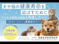 クラウドファンディング実施中！（12月31日まで）