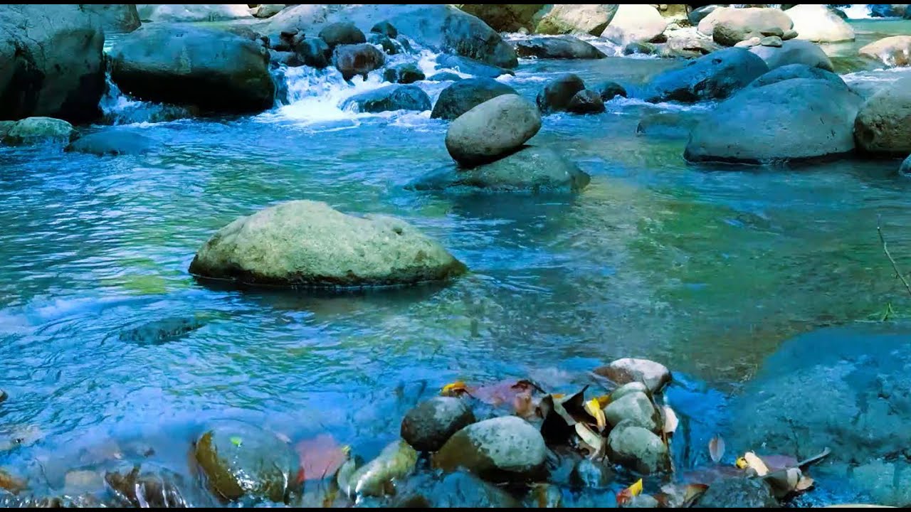 New 10 Hours Relaxing Nature Sounds for Sleeping - Natural Calm Forest ...