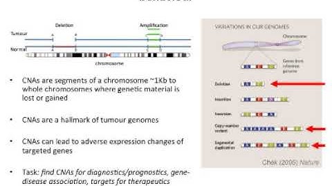 Copy Number Alterations