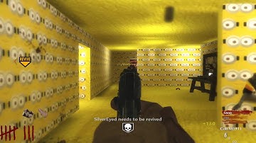 CoD WaW - Custom zombies COOP