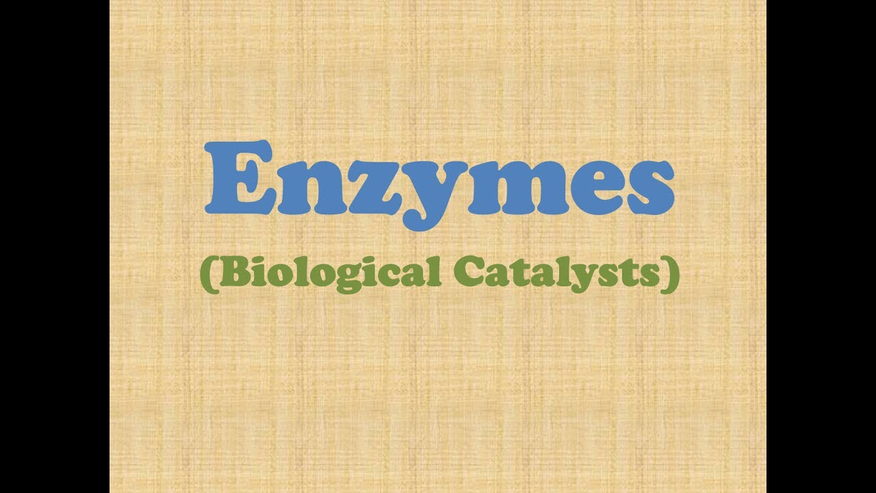 Enzymes