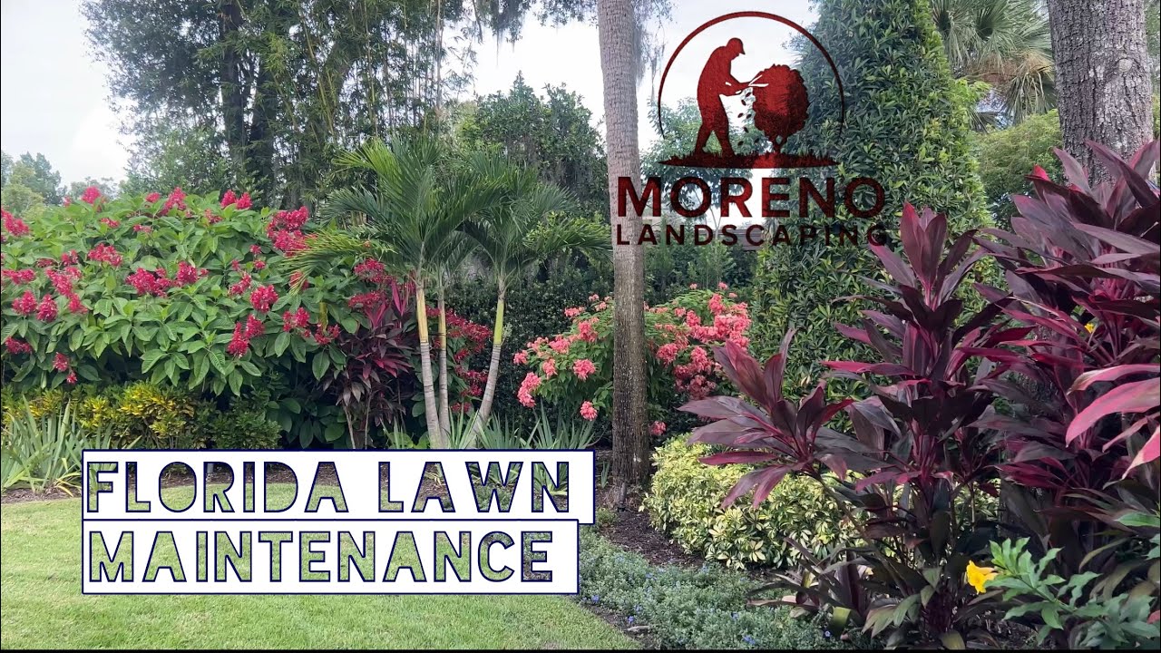 2023 Florida Lawn Maintenance 11 YouTube 2023-florida-lawn-maintenance-11-youtube
