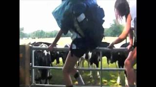 DofE: The Experience
