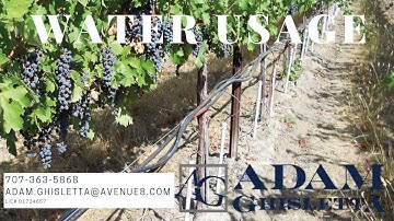 Water Usage In Vineyards