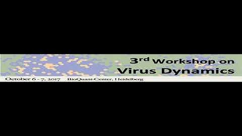Virus dynamics podcast with Alan Perelson and Frederik Graw