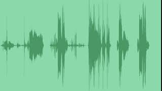 Picture Camera Sounds 1 Sound Effects