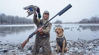 Silenced 12 Gauge Icy Mallard Hole Duck Hunt! 7 Man Limit