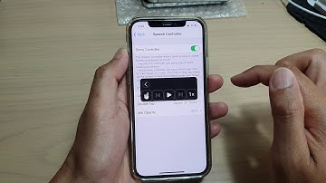 iPhone 12/12 Pro: How to Enable/Disable Speech Controller To Allow Access to Speak Screen