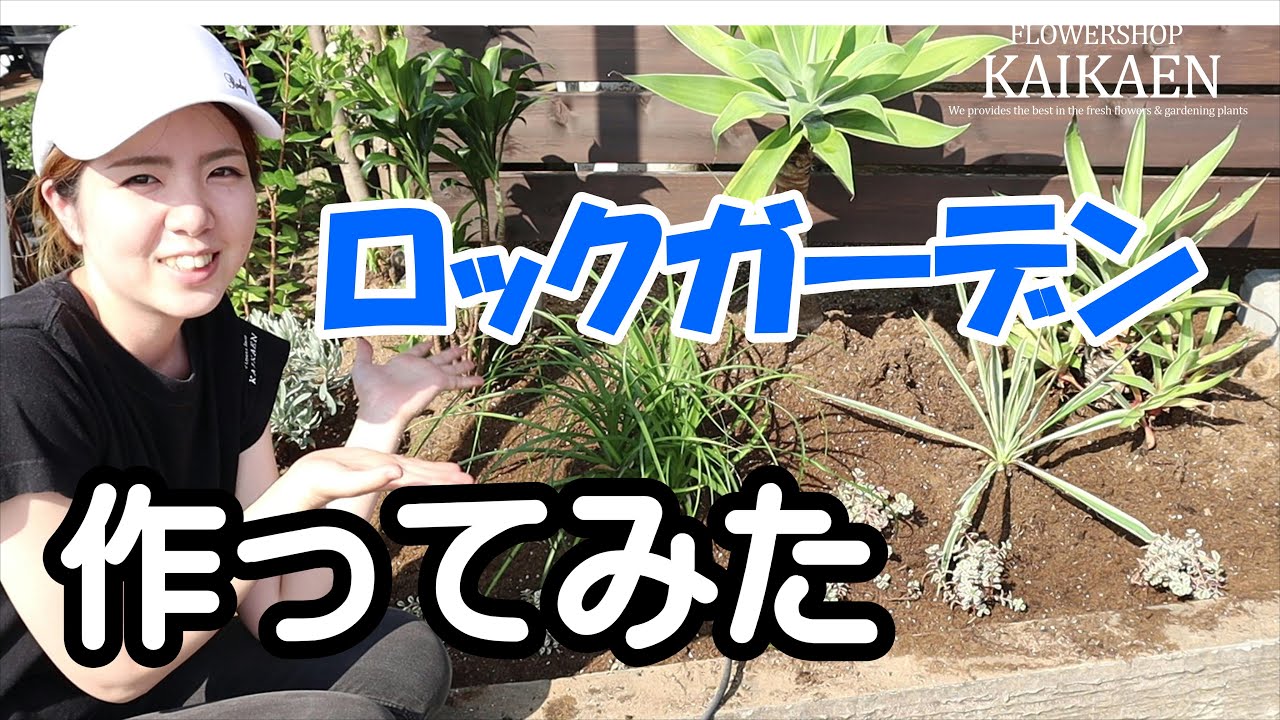 ロックガーデン 作り方 ポイント 何を植えたらいい おうちでガーデニング 開花園チャンネル Youtube