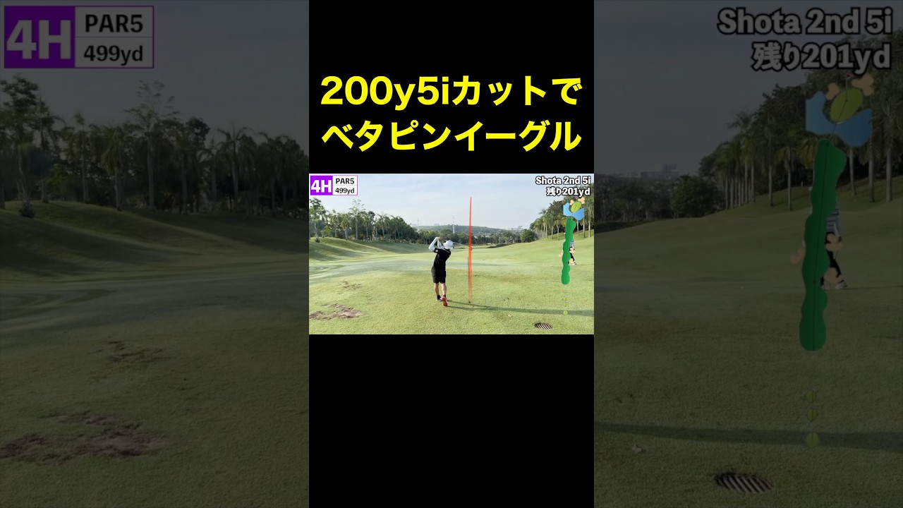 200y5iカットでベタピンイーグル　#shorts