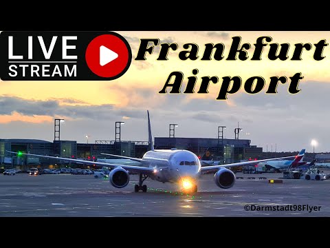 🛬 Saturday Evening FRA | Frankfurt Airport Live #d98flyer #frankfurtairport #runway