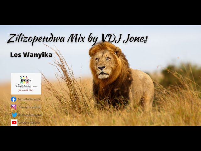 Zilizopendwa Mix by VDJ Jones | Best of Les Wanyika | 3hrs Mix class=