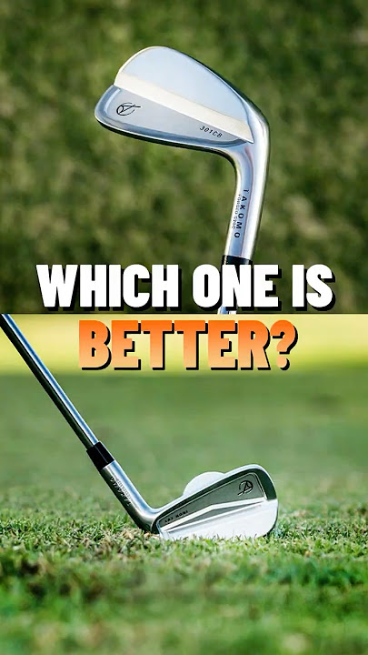 Takomo 301 CB or 201?