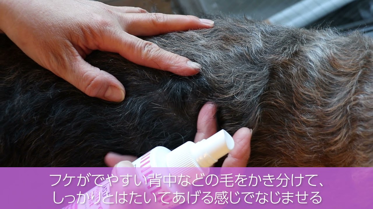 モイスチャーミスト 125mL - たかくらとくらす Takakura