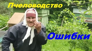 Пчеловодство ошибки