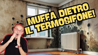 Come Fare Se Si Forma Muffa Dietro Il Termosifone?