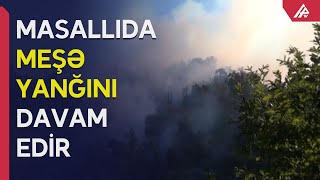 Masallıda baş verən yanğının lokallaşdırılması istiqamətində işlər davam etdirilir – APA TV