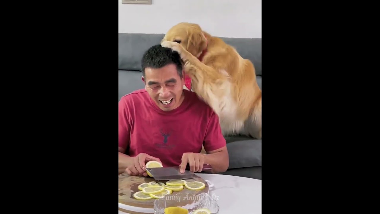 Welcome to our comprehensive video channel