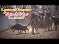 Coleadero en LIENZO CHARRO TERCIA DE ASES - Abil 28, 2018