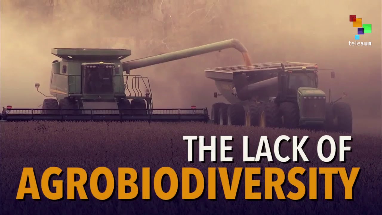 The Scary Effect Climate Change Has On Our Food