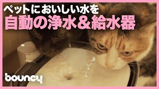 留守でもペットに美味しい水を！ 犬・猫用の自動浄水&給水器「ALNPET +」