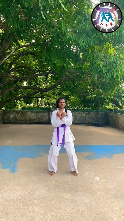heian godan 🥋#kata#part 1#video#karate#subscribe#like
