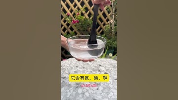 Tự làm nước kích rễ cây tại nhà