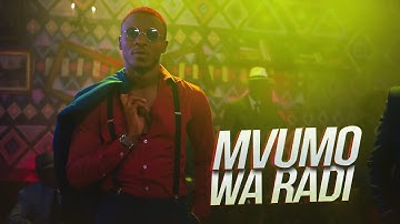 Alikiba - Mvumo Wa Radi (Official Music Video)