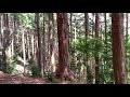 【ジムニー】林道探索【ビッグカントリーテスト走行】