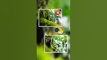 pro mode camera settings for you 🌱 ll improve your mobile photography skills