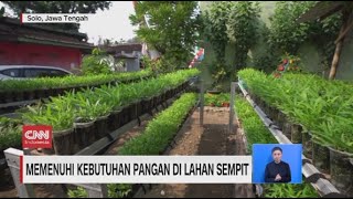 Berkebun di Lahan Sempit, Solusi Penuhi Kebutuhan Pangan